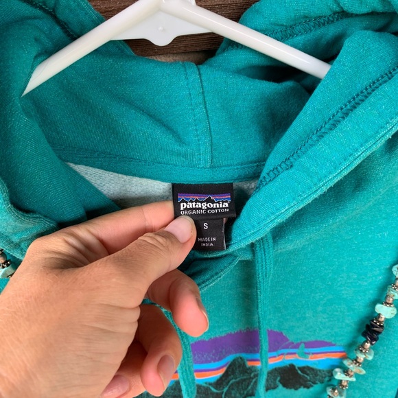 Patagonia S organic cotton Teal Hoodie bison Graphic sweatshirt buffalo pullover - Picture 4 of 7